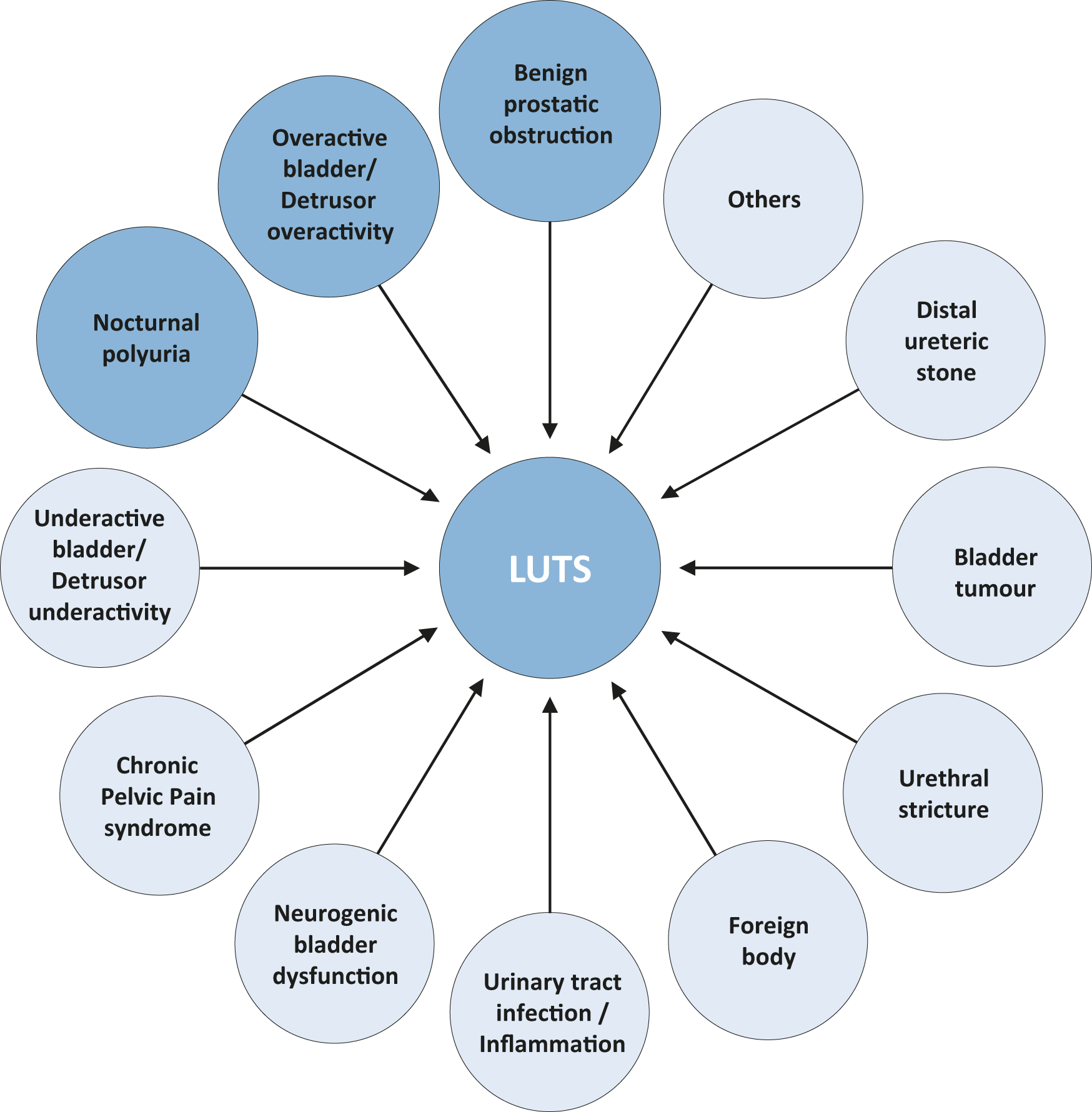 Management of Non-neurogenic Male LUTS - EPIDEMIOLOGY AETIOLOGY AND ...