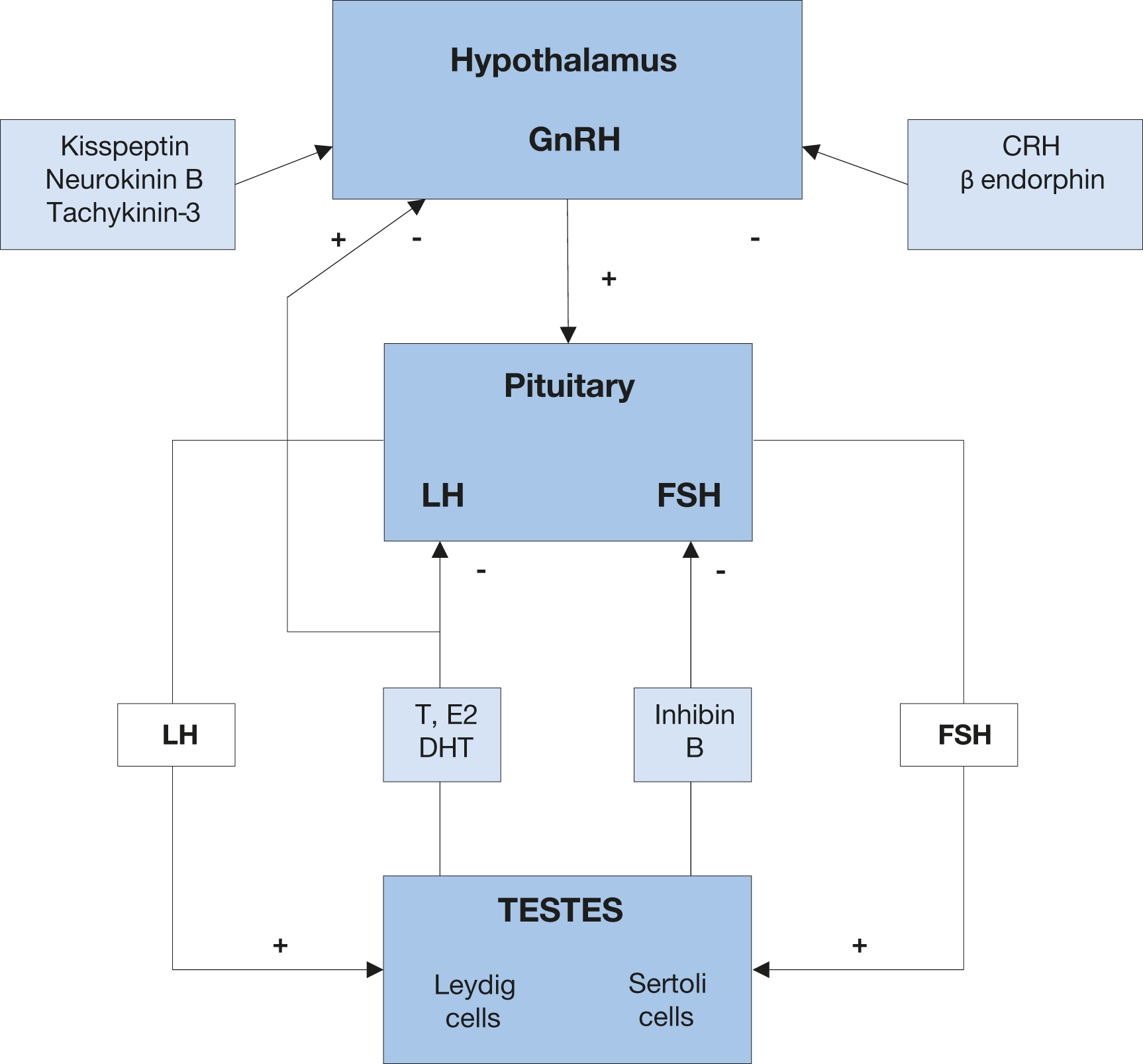 Sexual And Reproductive Health MALE HYPOGONADISM Uroweb