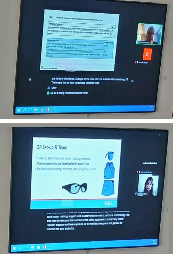 Screenshots of speakers presenting a lecture virtually.