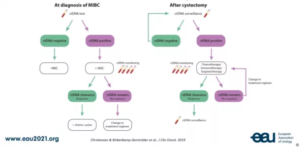 A PowerPoint slide of schematic overviews of how ctDNA testing can be used for guiding treatment decisions.